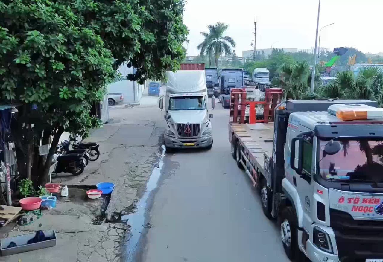 VN1369's first PE film container officially exported to the United States celebrating our 8th anniversary